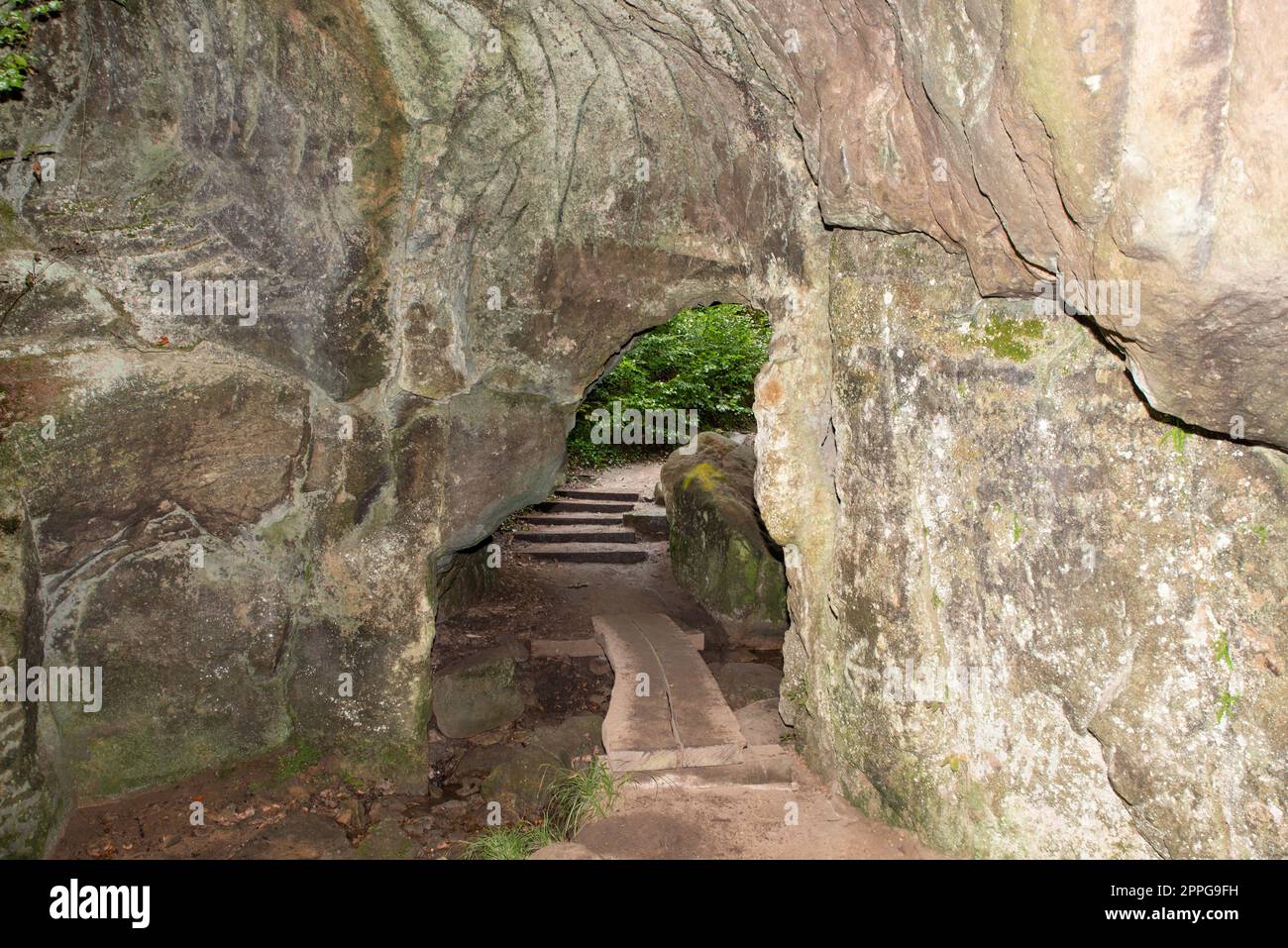 Huel Lee or Hohllay on the Mullerthal trail in Luxembourg, open cave with view to the forest, sandstone rock formation Stock Photo