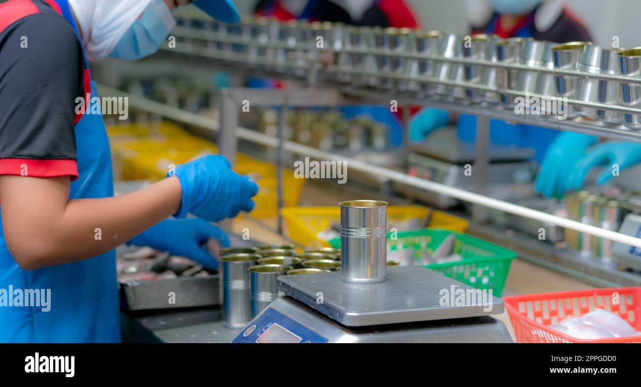 Worker working in canned food factory. Food industry. Canned fish factory. Workers weighing sardines in cans on a weight scale. Worker in food processing production line. Food manufacturing industry. Stock Photo