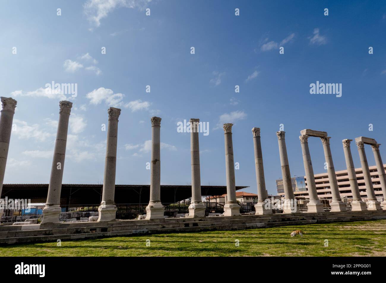 Agora Ören Yeri in Izmir, Turkey is a magnificent ancient site that showcases the remnants of a once-great marketplace and cultural hub. Stock Photo