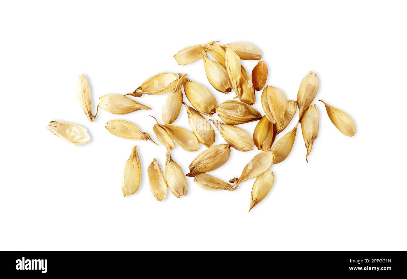 Pile of wheat grains on white background, top view Stock Photo - Alamy