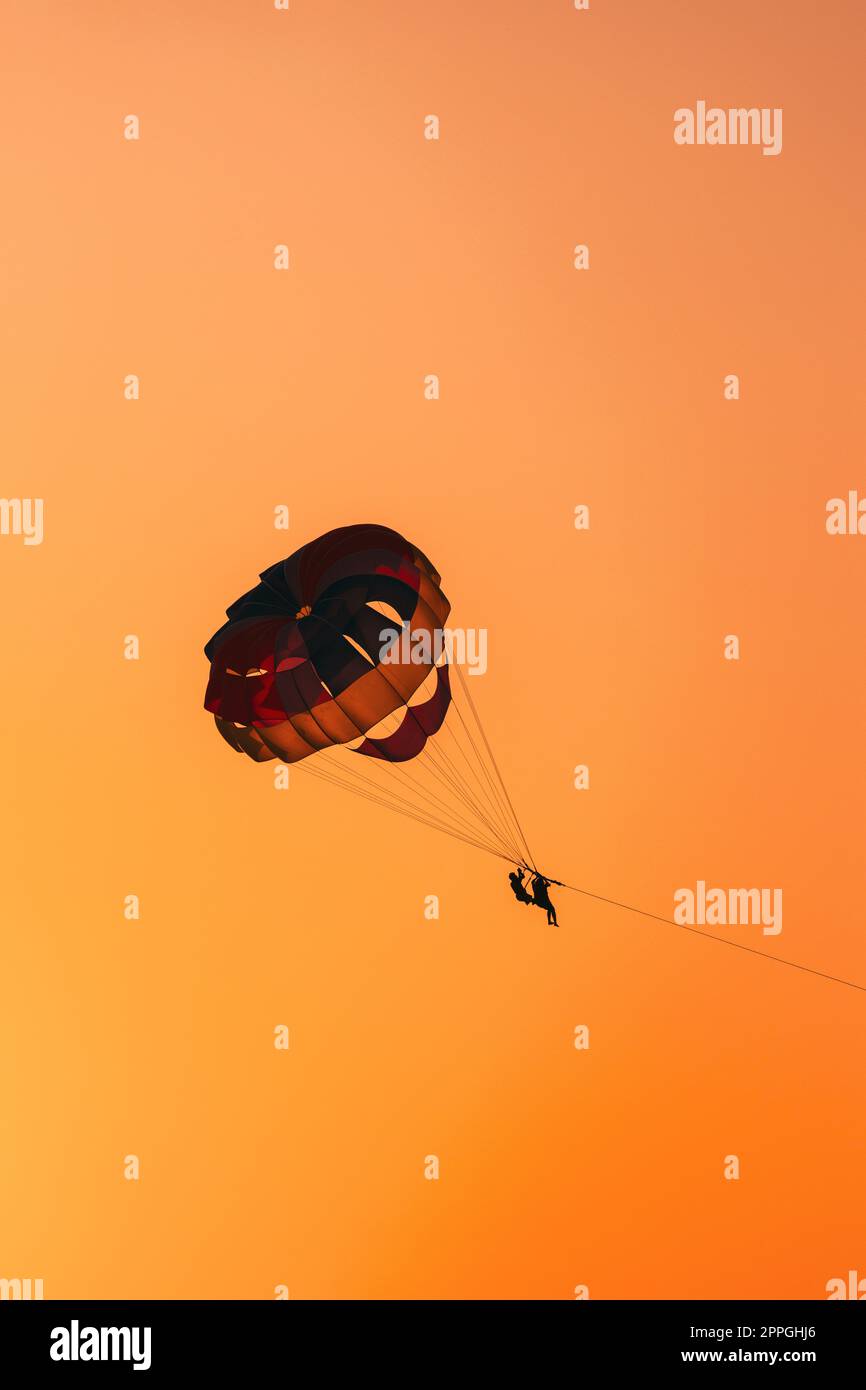 Parasailers Flying On Colorful Parachute In Sunset Sunrise Sky. Active Hobby Stock Photo