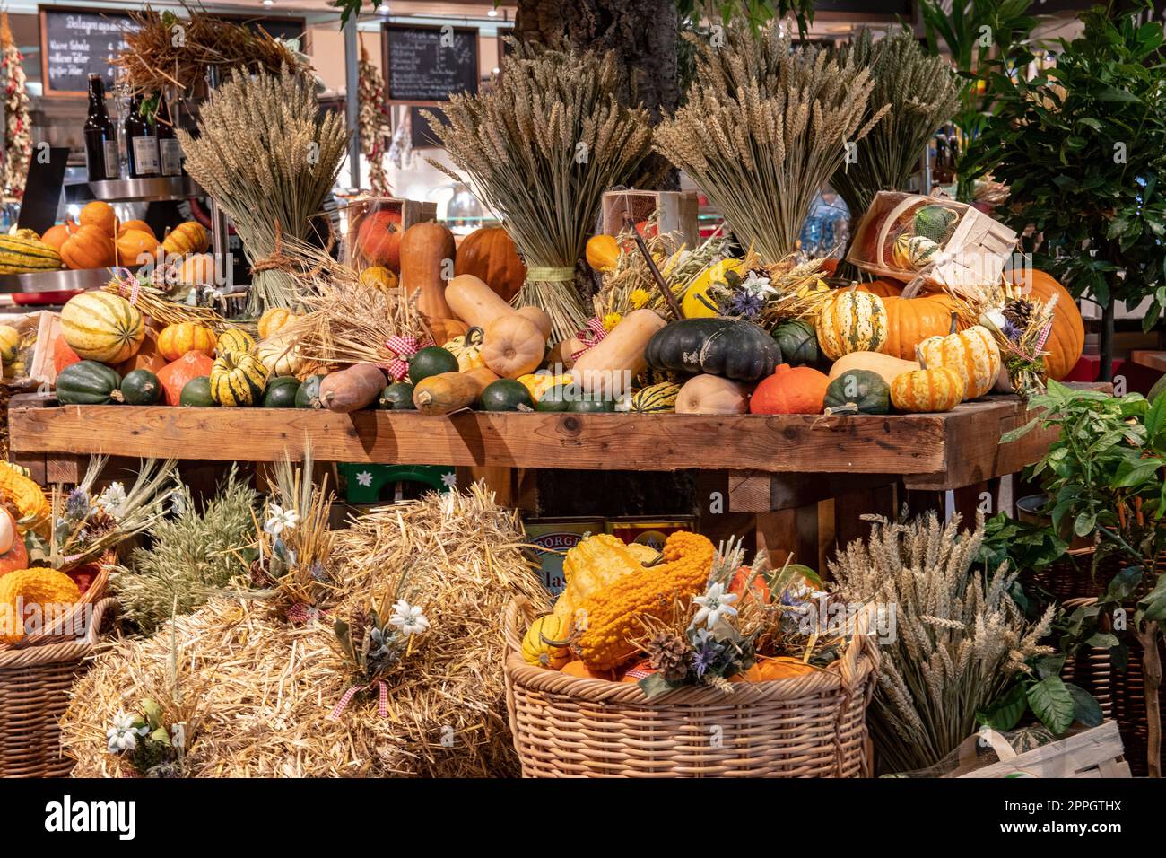 Thanksgiving autumn decorations. Colourful assortment of different kinds of pumpkins, gourds and squashes on wooden shelves and straw bales at a harvest market. Stock Photo