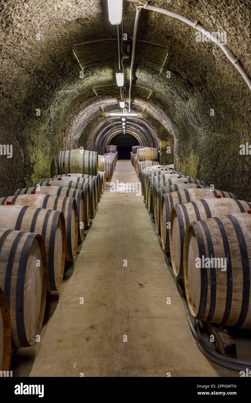 Wine cellars with barrels, traditional wine called Bikaver near Eger