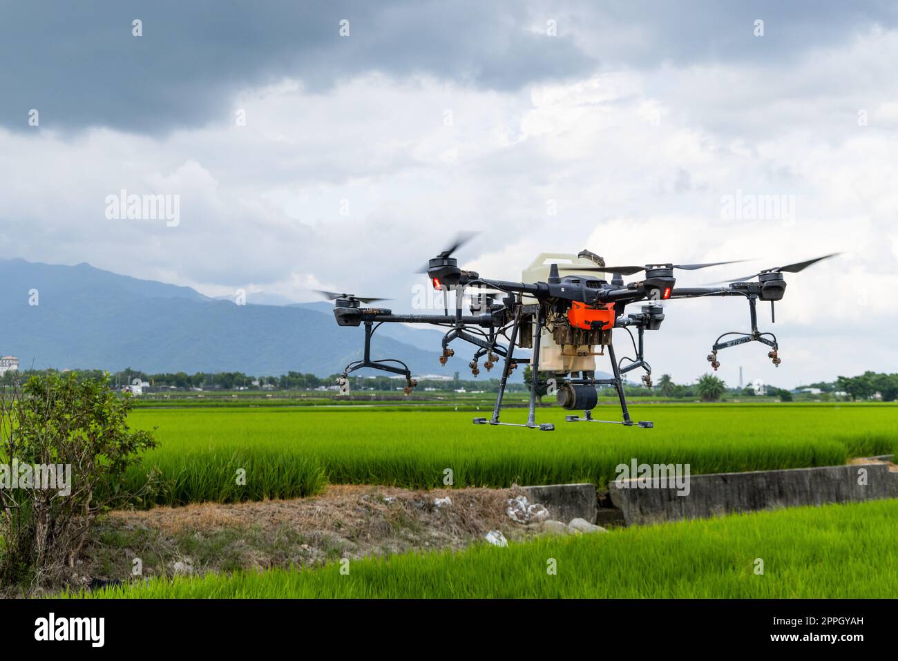 Agriculture drone farming fly to spray fertilizer on the rice fields Stock Photo
