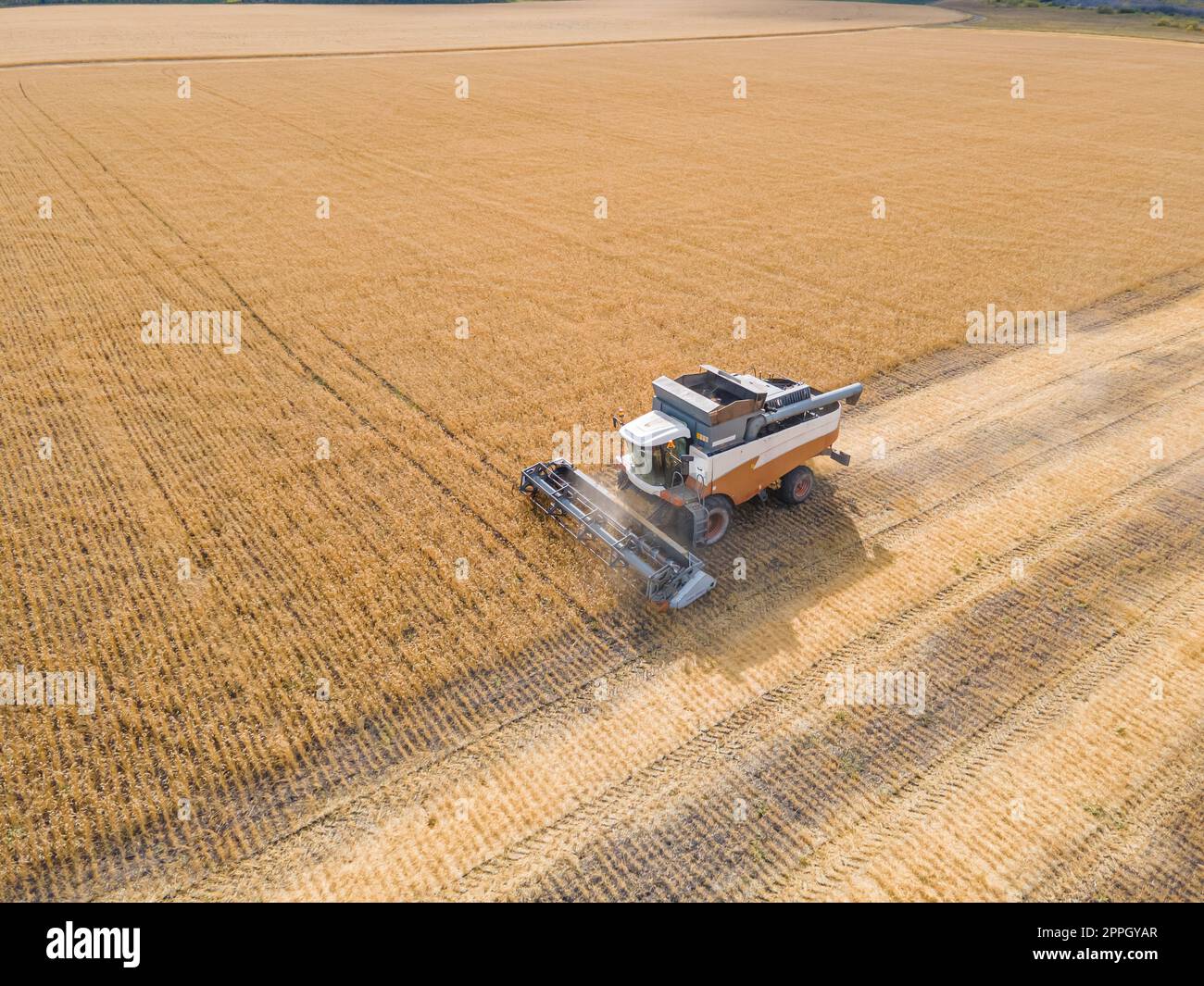 Harvest wheat grain and crop aerial view.Harvesting wheat,oats, barley in fields,ranches and farmlands.Combines mow in the field.Agro-industry.Combine Harvester Cutting on wheat filed.Machine harvest Stock Photo