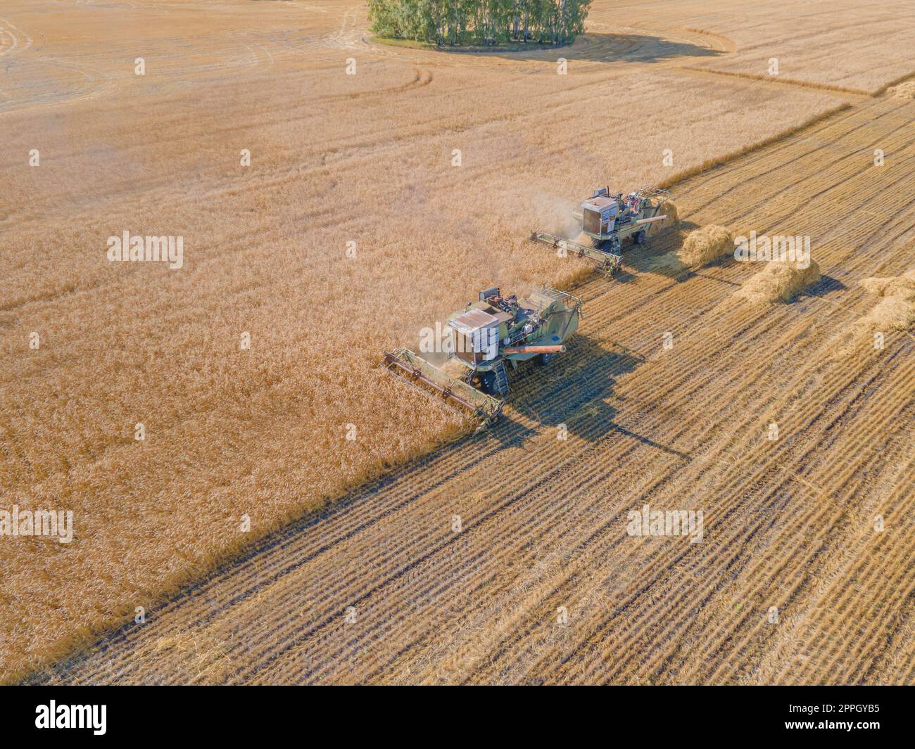 Harvest wheat grain and crop aerial view.Harvesting wheat,oats, barley in fields,ranches and farmlands.Combines mow in the field.Agro-industry.Combine Harvester Cutting on wheat filed.Machine harvest Stock Photo