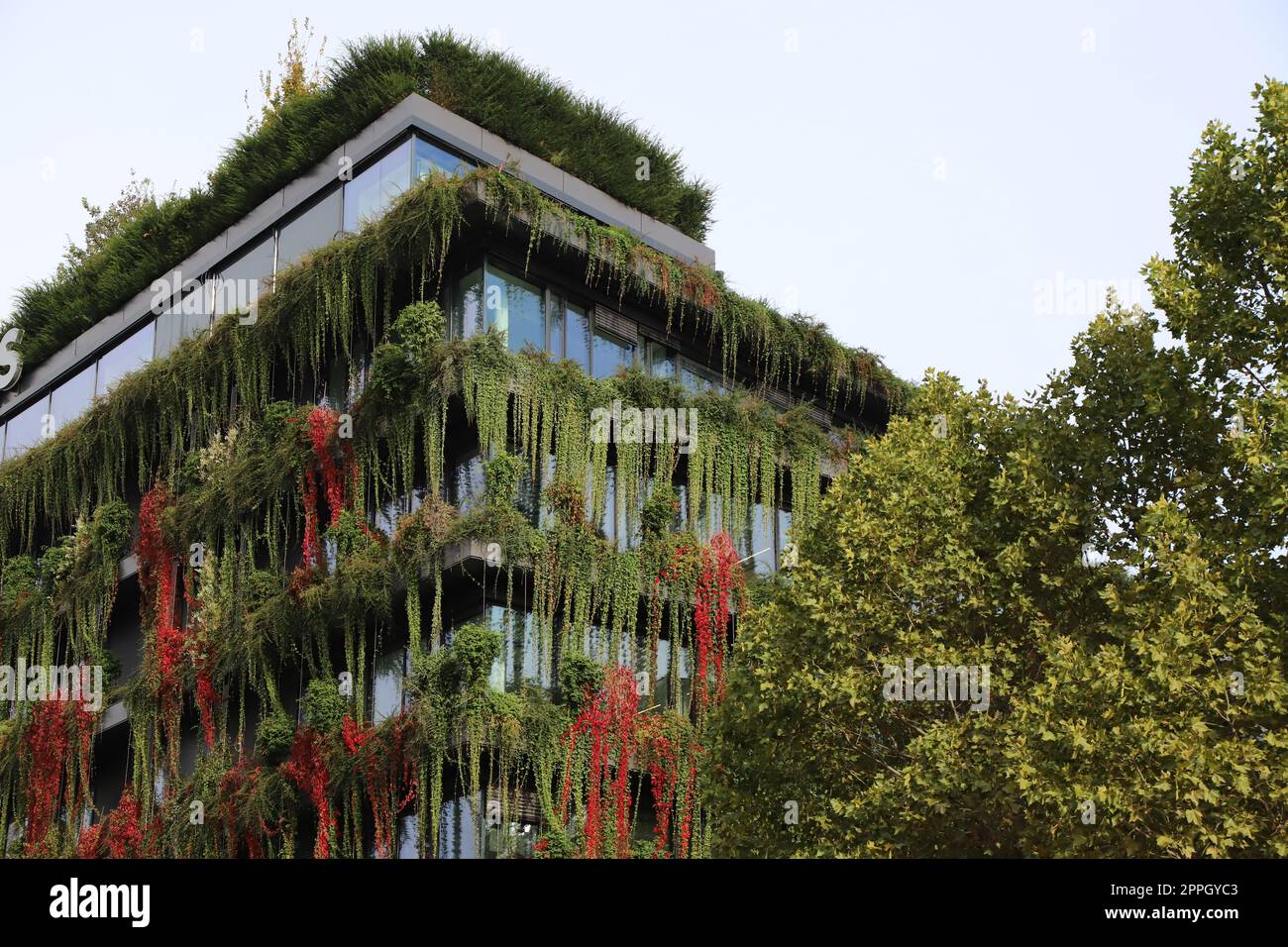 green building in the city Stock Photo Alamy