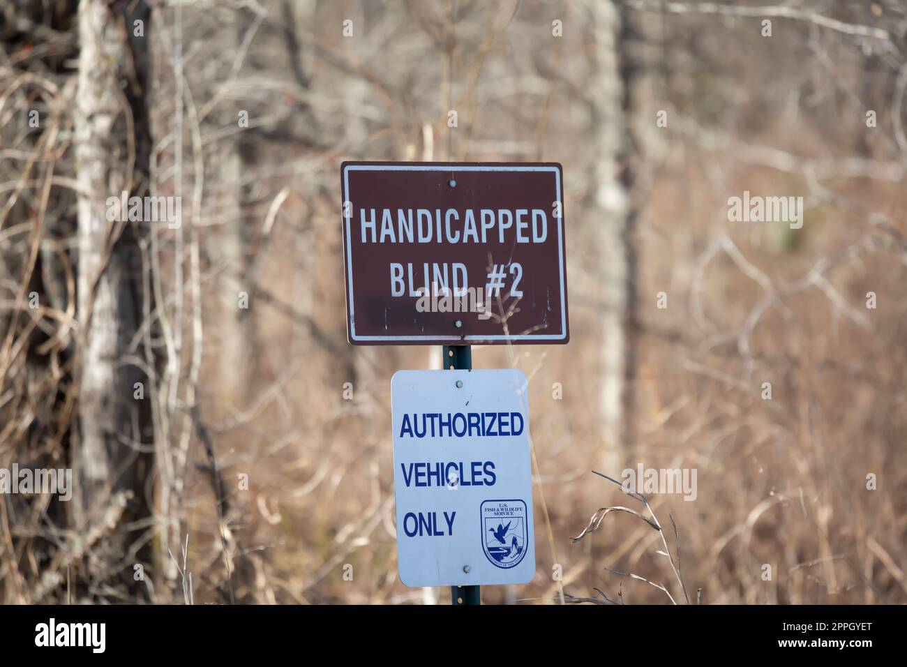 Handicapped Hunting Blind Sign Stock Photo - Alamy