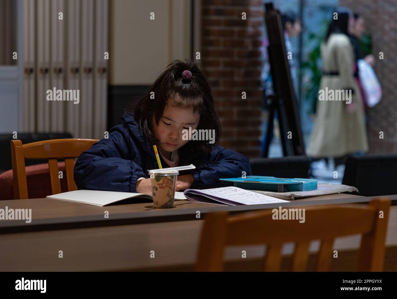 Japanese Girl Studying Stock Photo