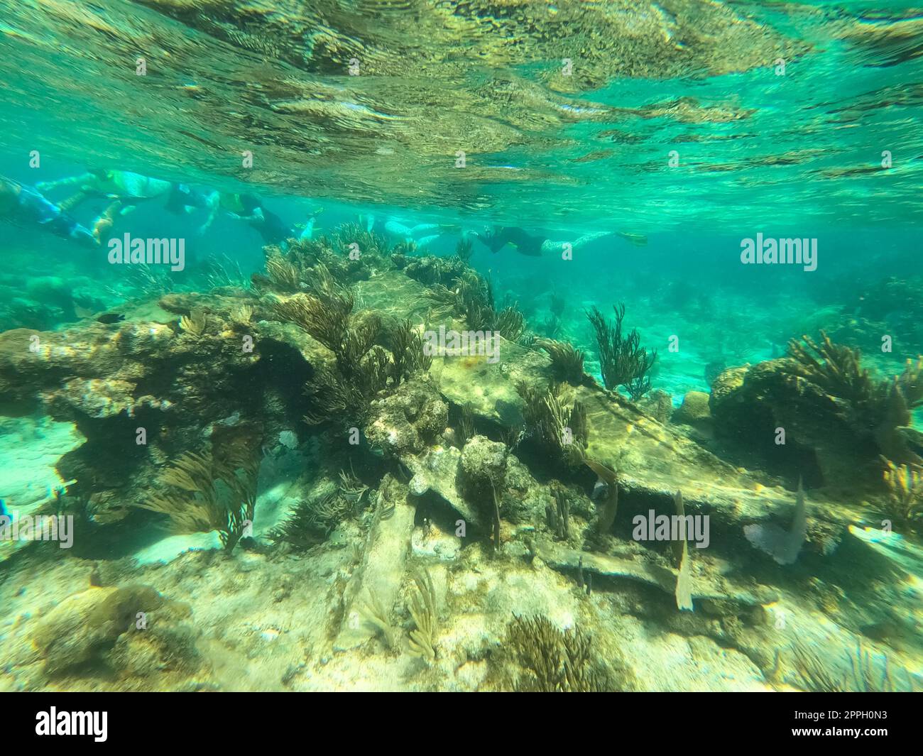 Group of people snorkeling near sunken ship under the sea. Beautifiul underwater colorful coral reef at Caribbean Sea at Honeymoon Beach on St. Thomas, USVI Stock Photo