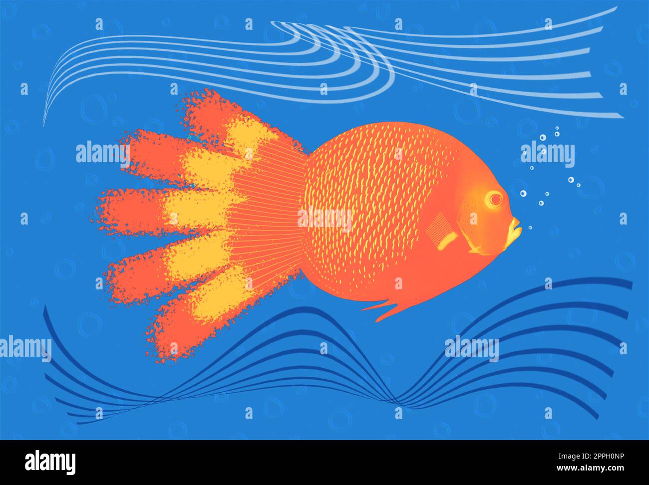 Colorful coral reef with many fishes. Art design of Caribbean Sea