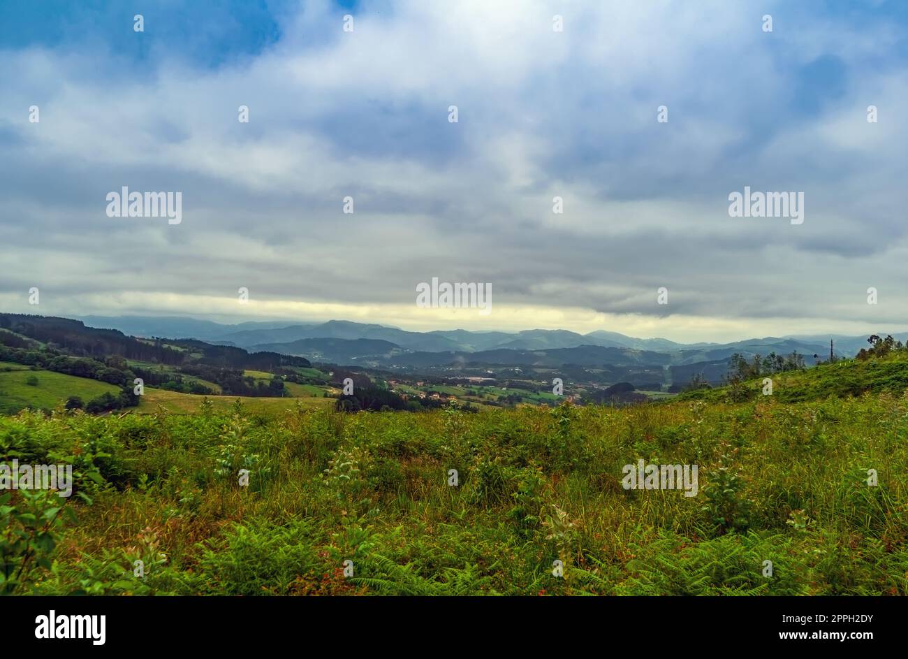 Green grassy hills in rolling hi-res stock photography and images - Alamy