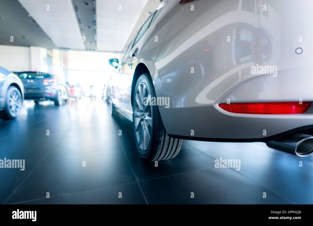 Rearview car parked in luxury showroom. Car dealership office. New car