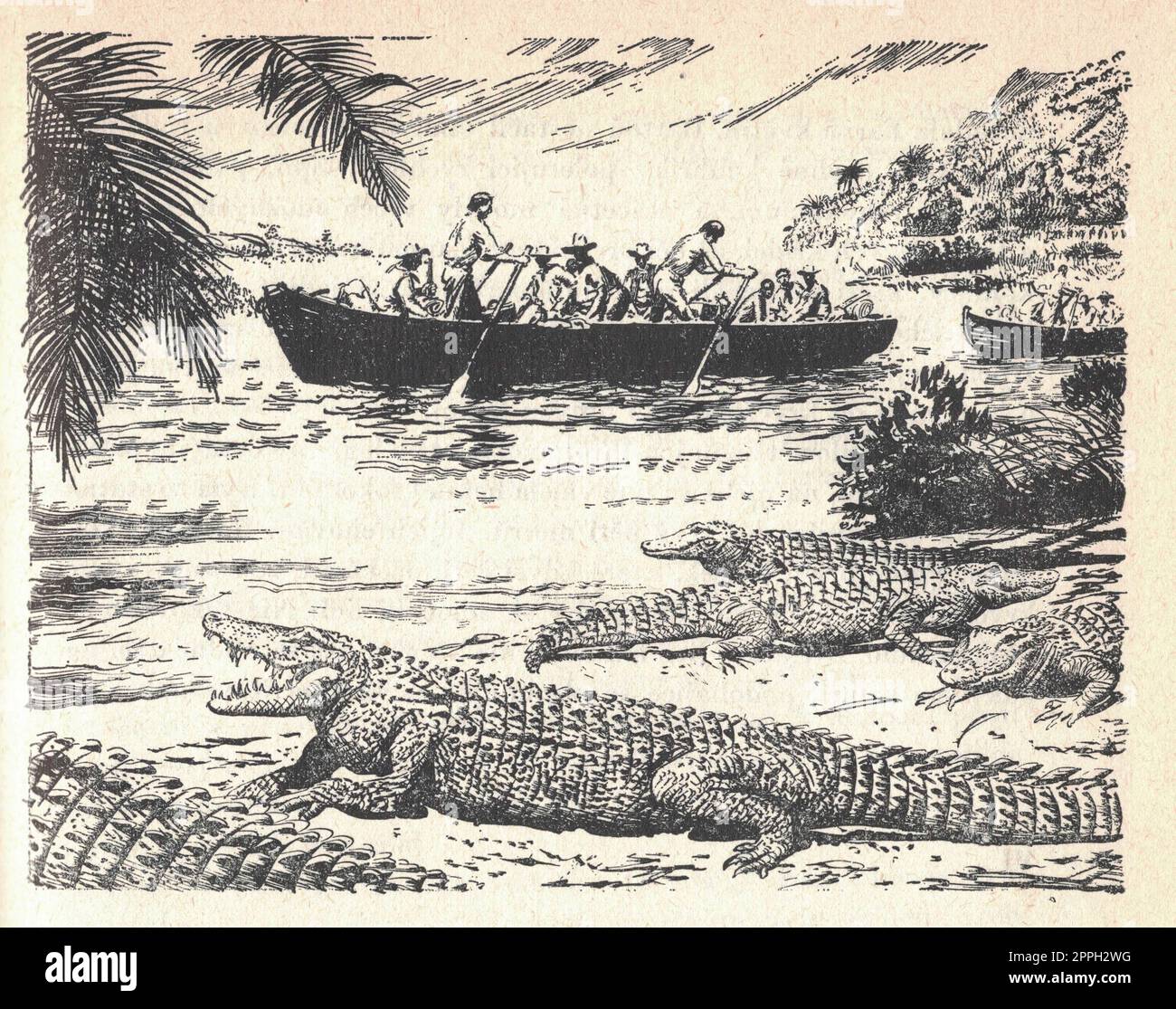 The boat sails on the river. Crocodiles on the seashore. Old black and white illustration. Vintage drawing. Illustration by Zdenek Burian. Stock Photo