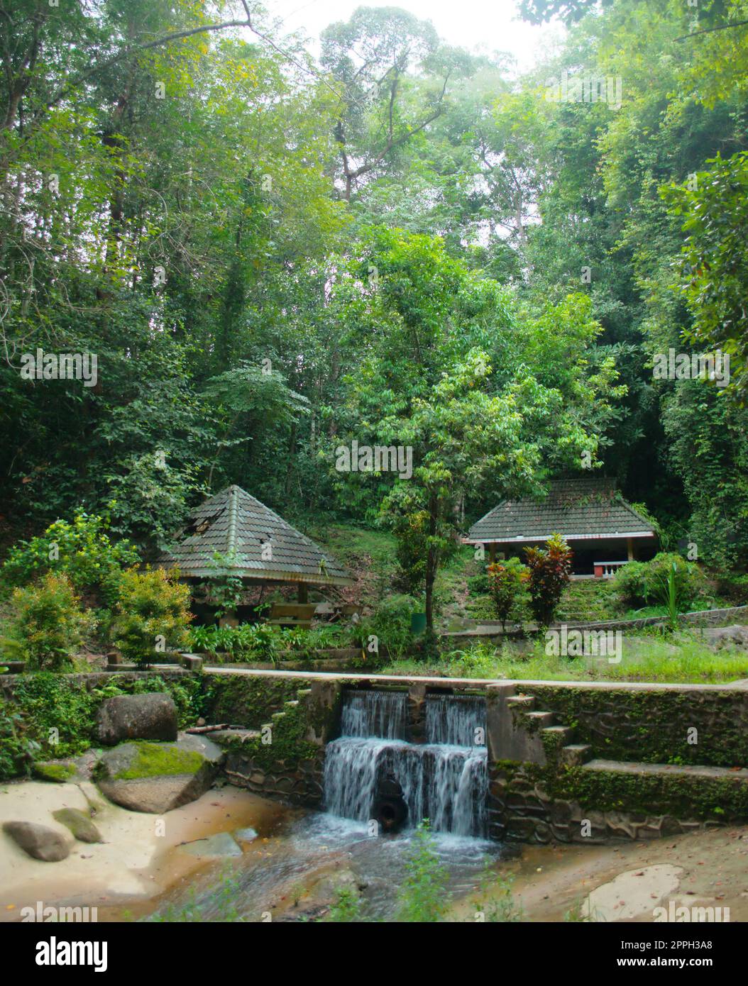 Way jungle hi-res stock photography and images - Alamy