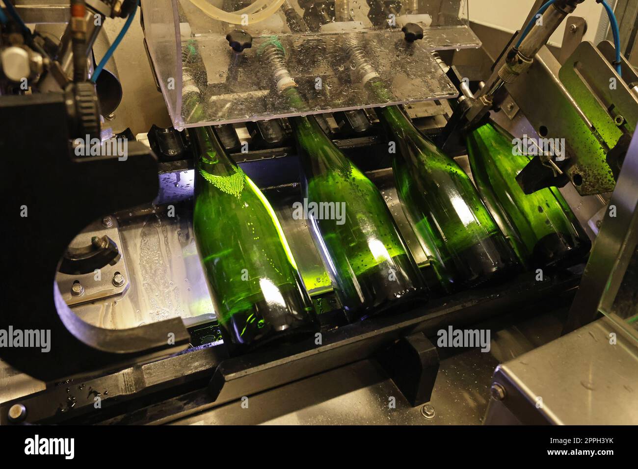 sparkling wine bottles in the bottling line Stock Photo