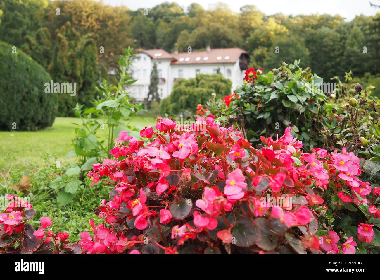 Banja Koviljaca, Serbia, Guchevo, Loznica, September 30, 2022 A medical building, the former royal villa. Green lawn in the park with flowers and bushes. Landscaping and decoration of the park area. Stock Photo