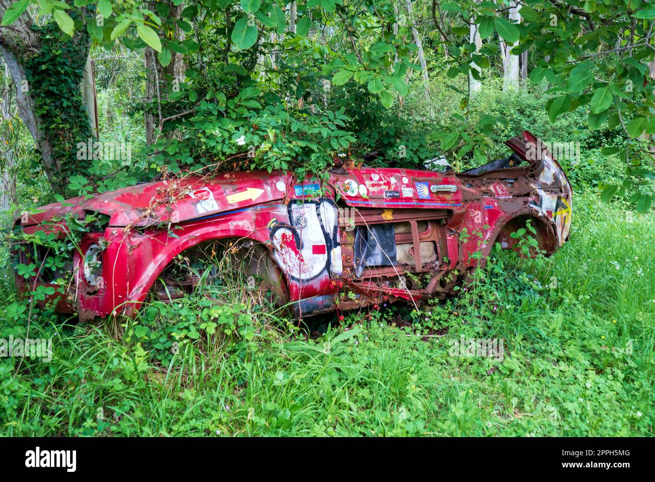 the old rusty body of the LADA NIVA car overgrown with grass. The ...