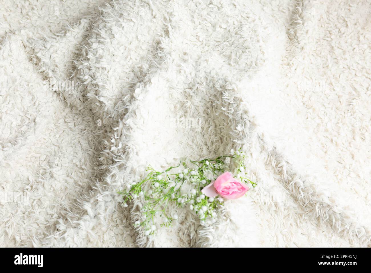 background texture. llama fur. white faux fur with roses. fabric for