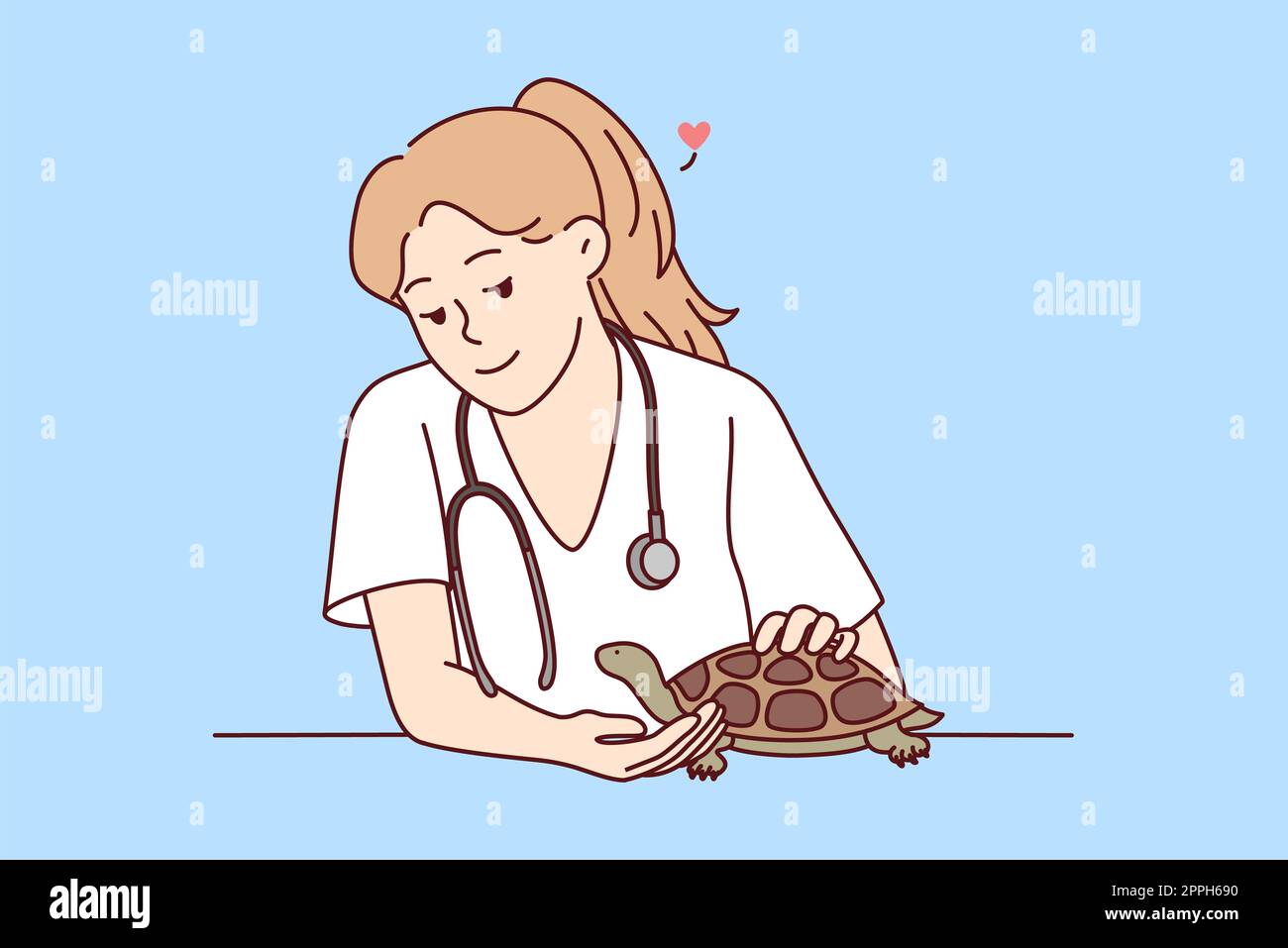 Female veterinarian take care of turtle Stock Photo Alamy