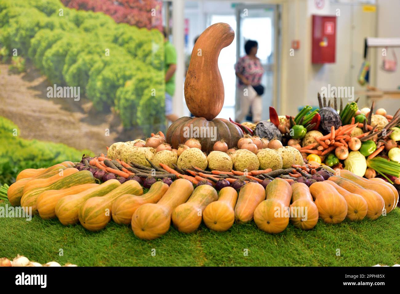 Decoration with different types of vegetables Stock Photo