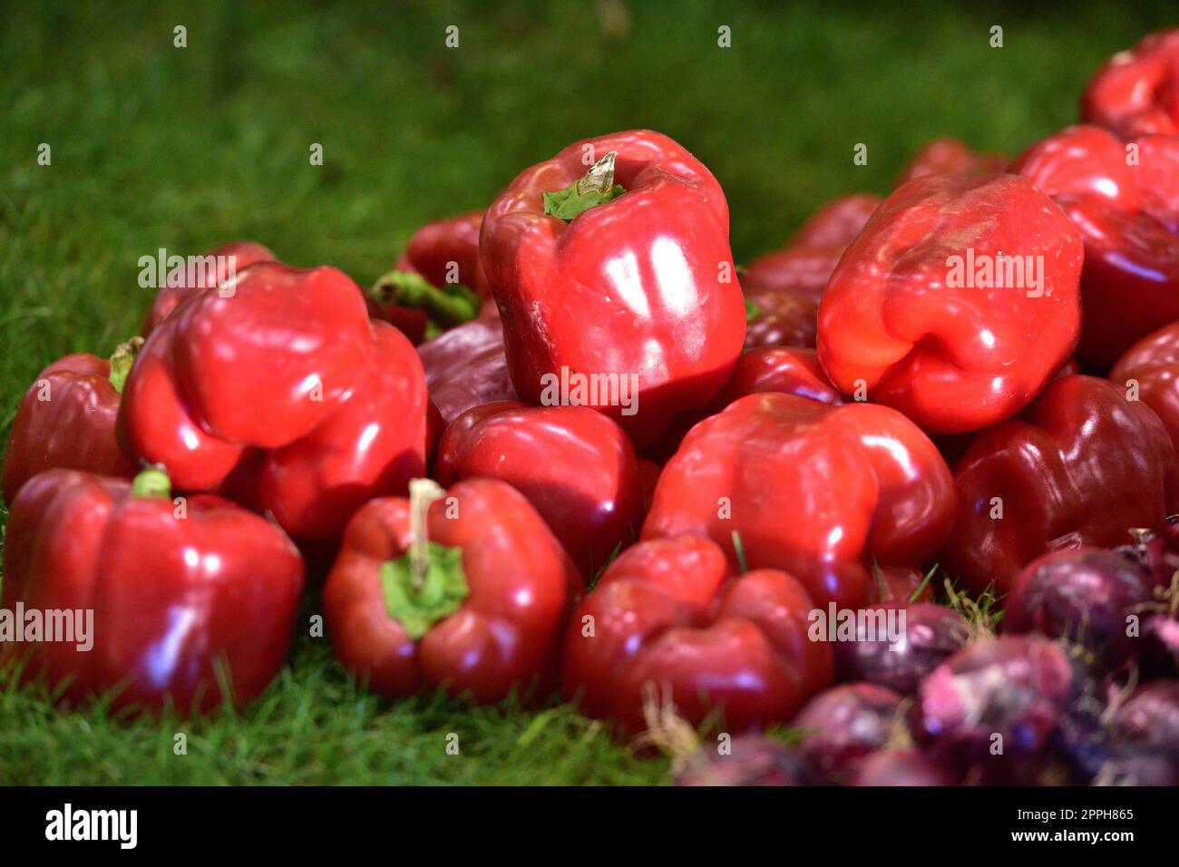 Decoration with different types of vegetables Stock Photo