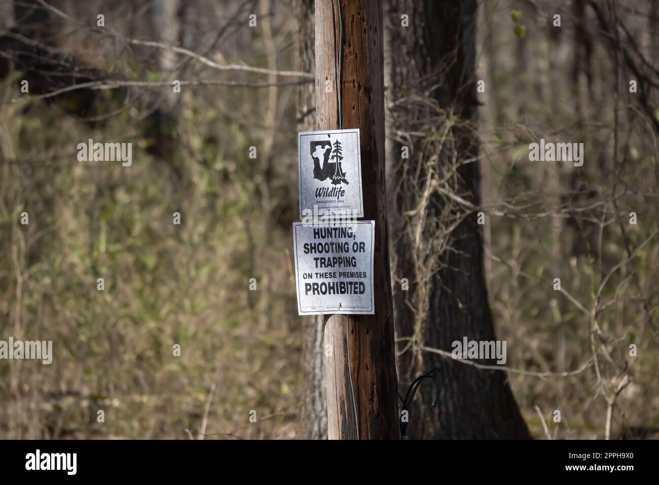 Sign Marking Area Where Shooting, Trapping, and Hunting Are Forbidden Stock Photo