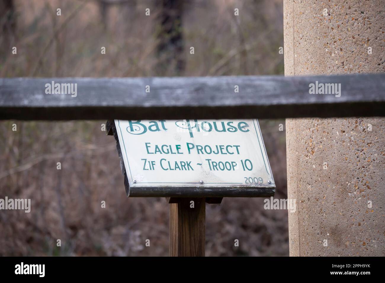 LAKE IATT RECREATIONAL AREA, KISATCHIE NATIONAL FOREST, LOUISIANA/USA