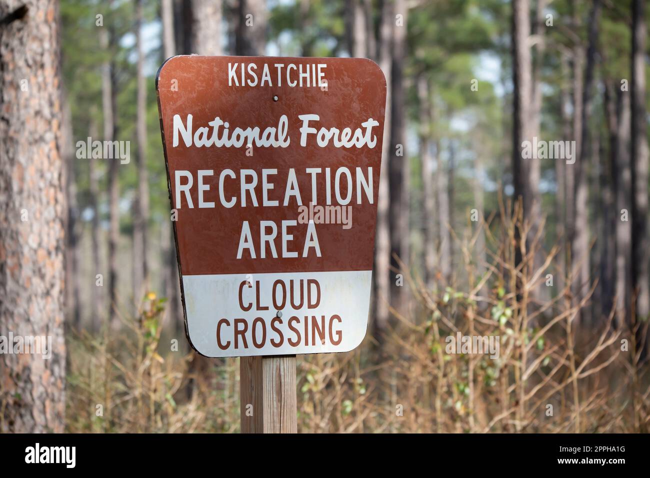 KISATCHIE NATIONAL FOREST CLOUD CROSSING RECREATION AREA SIGN AGAINST