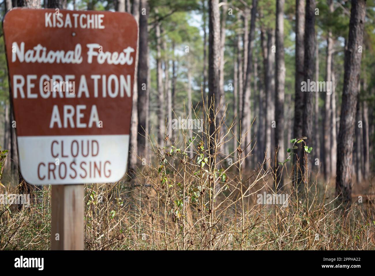 Kisatchie National Forest Stock Photo Alamy