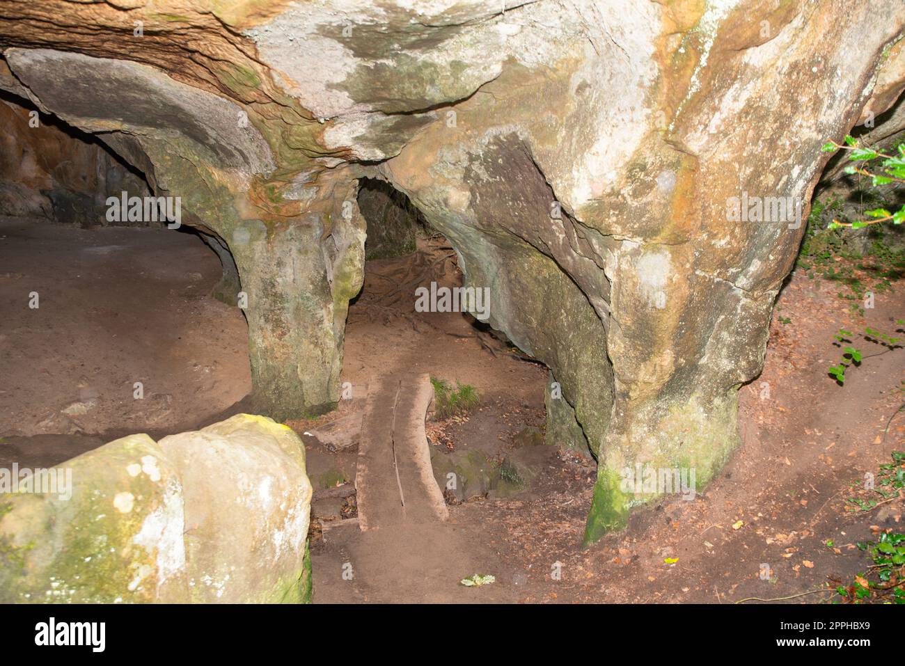 Huel Lee or Hohllay on the Mullerthal trail in Luxembourg, open cave with view to the forest, sandstone rock formation Stock Photo