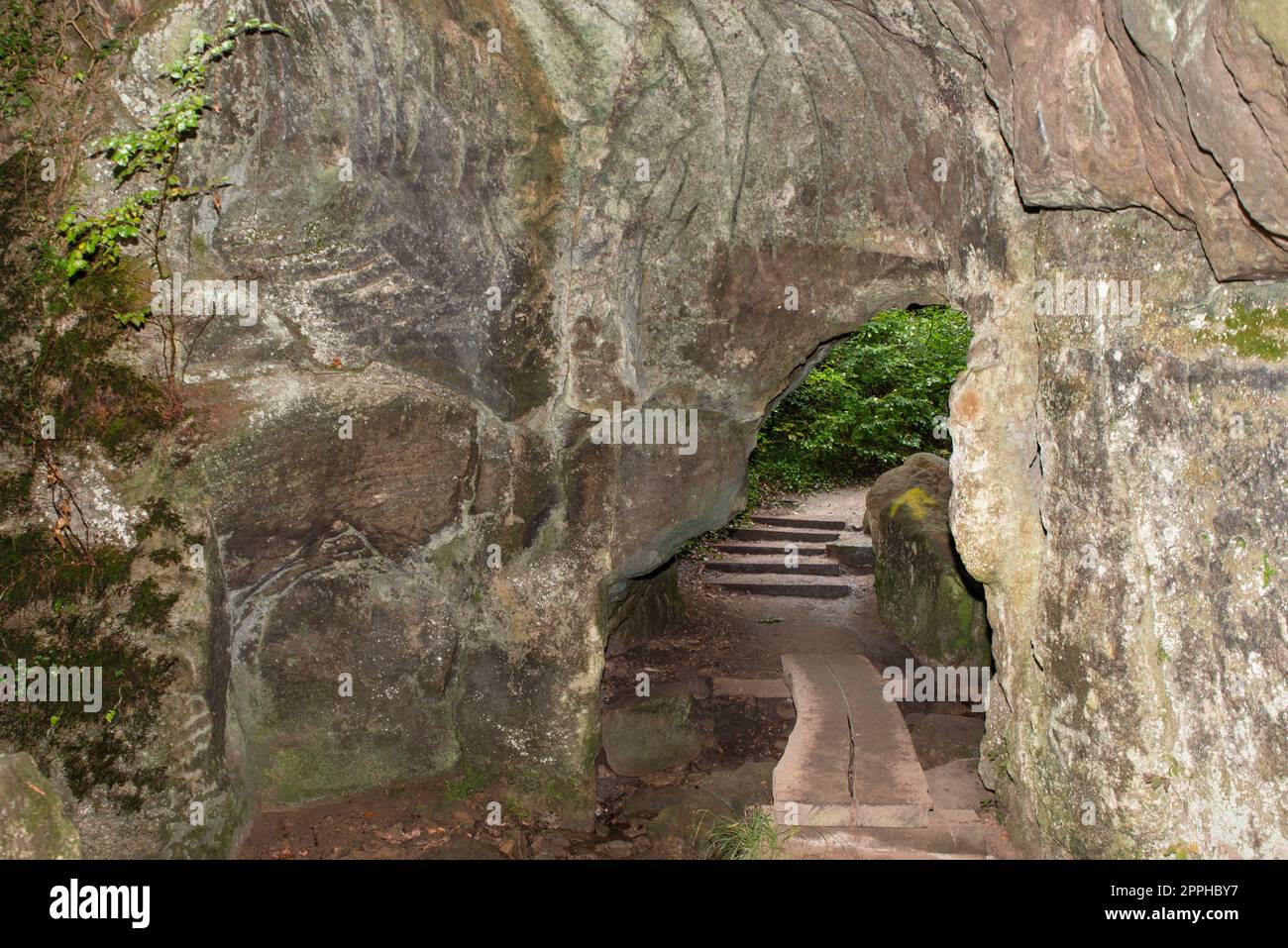 Huel Lee or Hohllay on the Mullerthal trail in Luxembourg, open cave with view to the forest, sandstone rock formation Stock Photo