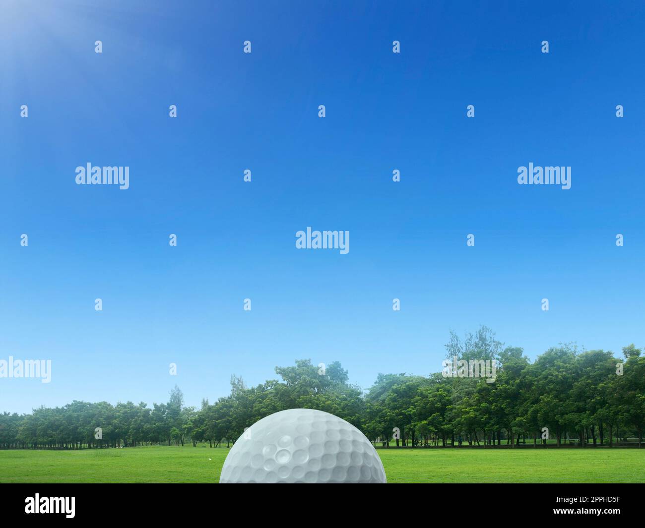 Golf ball on green grass in beautiful golf course in Thailand. Golf ball on Green field golf course in morning time with soft sunlight Stock Photo
