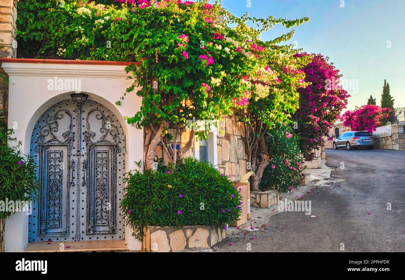 Pink bougainvillea flowers and old vintage door in Bodrum. Bodrum street with a fence of House. Old door on the street. Bodrum Turkey Stock Photo