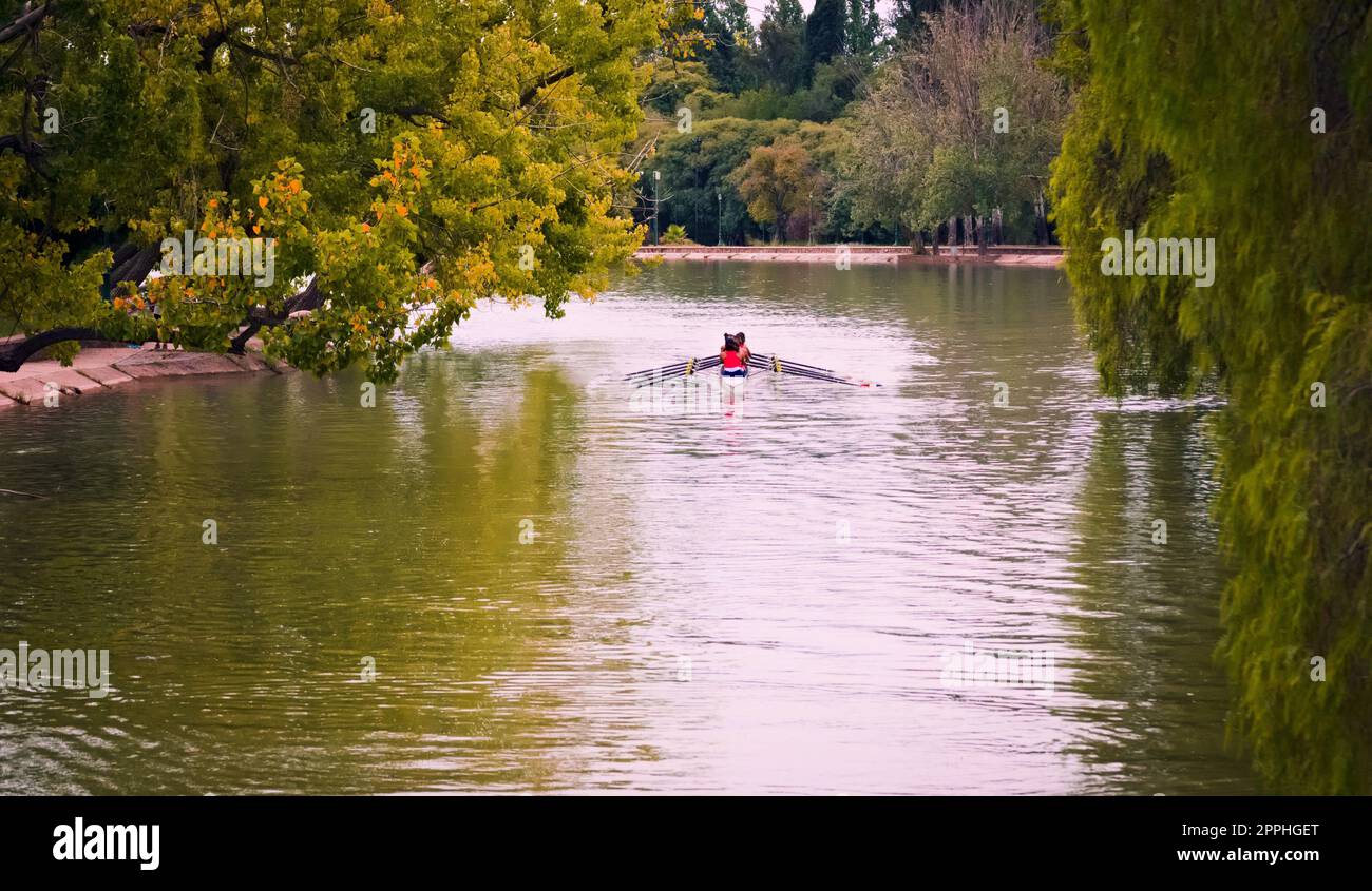 Women rowing team, training in the lake of San Martin park in Mendoza, Argentina. Stock Photo