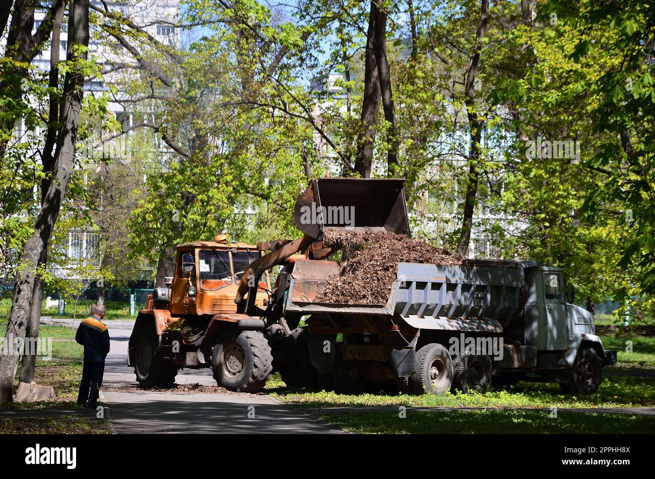 The city improvement team removes the fallen leaves in the park with an excavator and a truck. Regular seasonal work on improving the public places for recreation Stock Photo