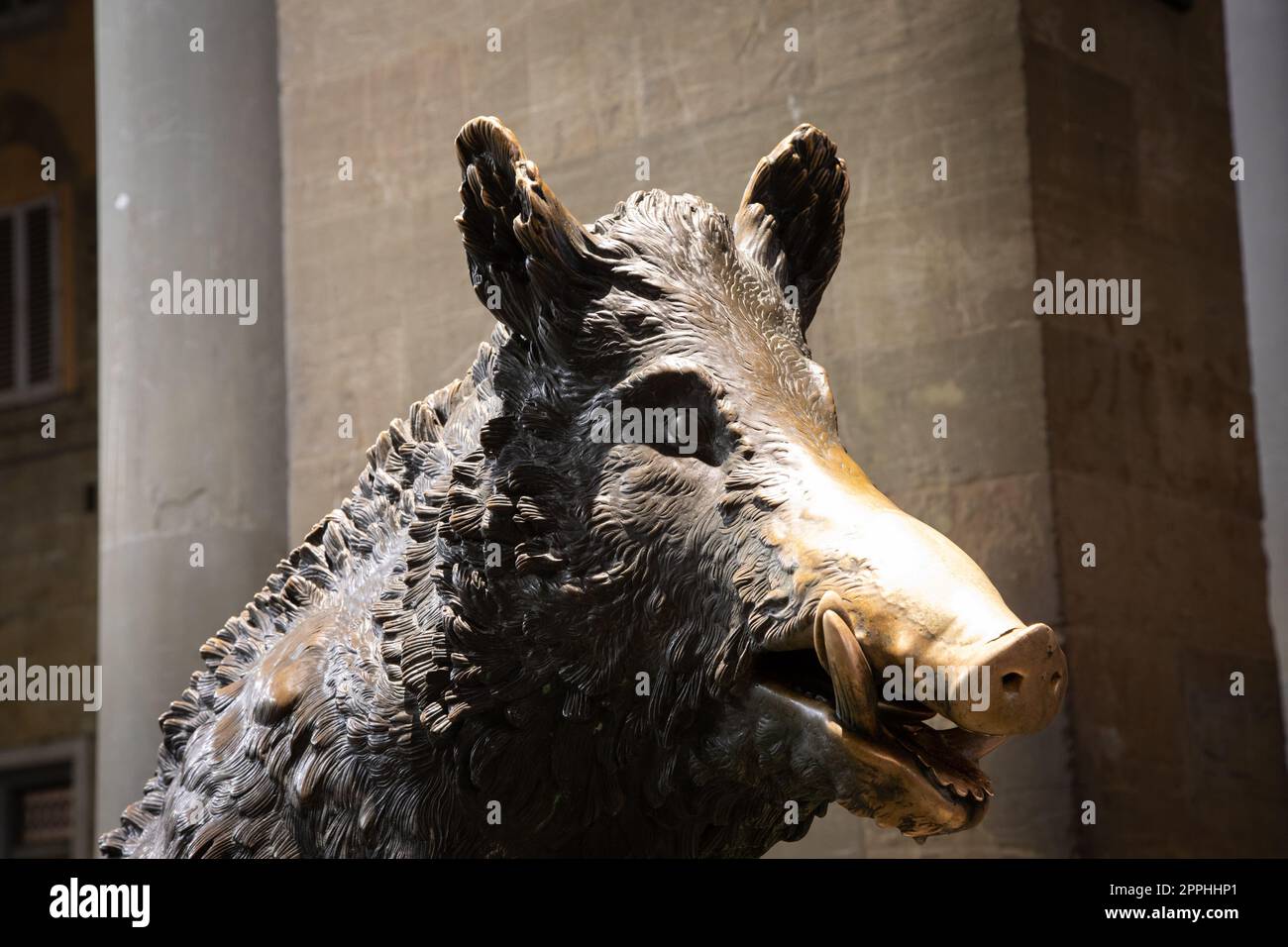 Florence, Italy Circa January 2022 the antique pig statue, symbol of