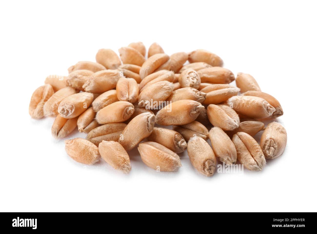Pile of wheat grains on white background Stock Photo - Alamy