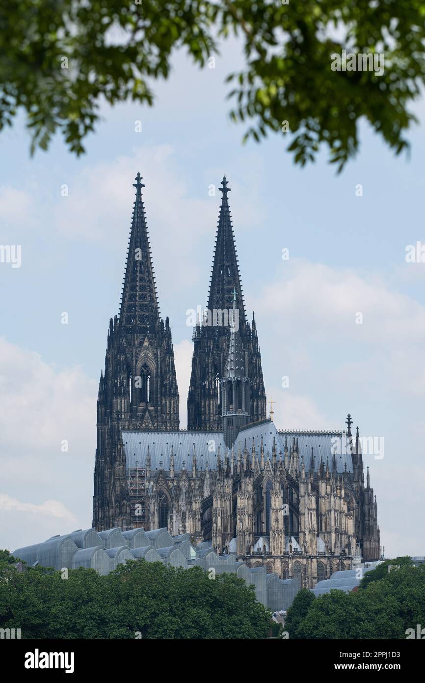 Cologne Cethedral from behind, surounded by green. In the front is the Cologne Philharmonie. Stock Photo