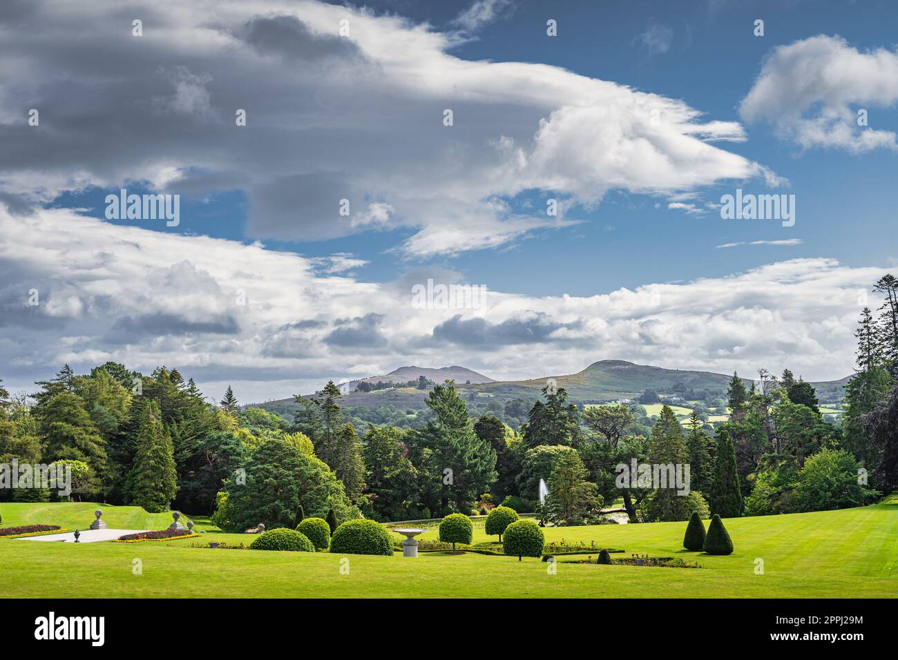 Beautiful garden with flower pots, green lawn and ornate bushes in