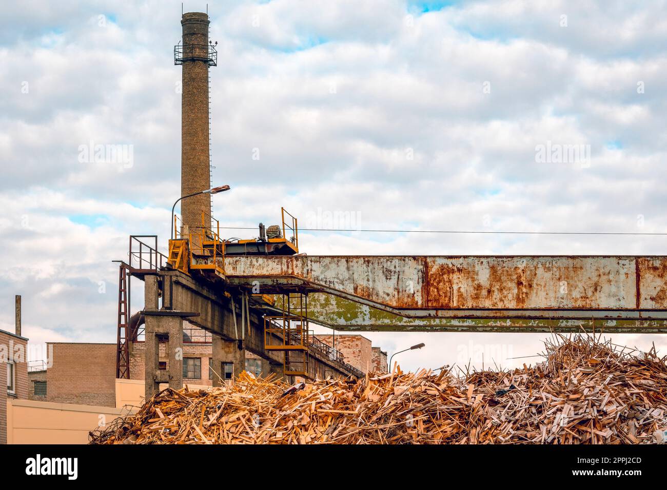 Pile of wood waste for thermal power plant Stock Photo