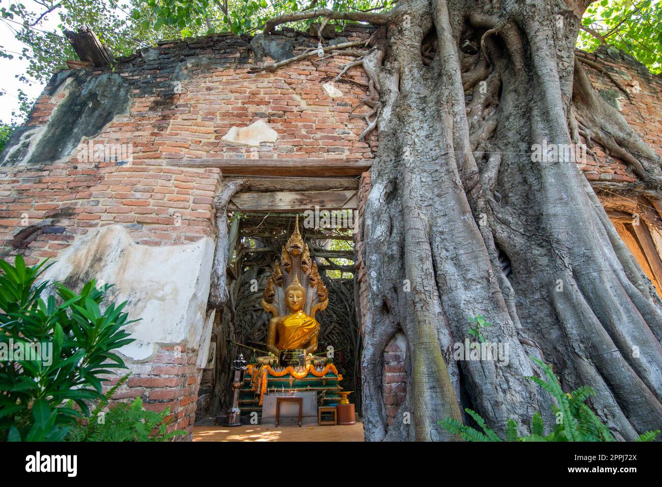 THAILAND ANG THONG WAT SANG KRATAI Stock Photo - Alamy