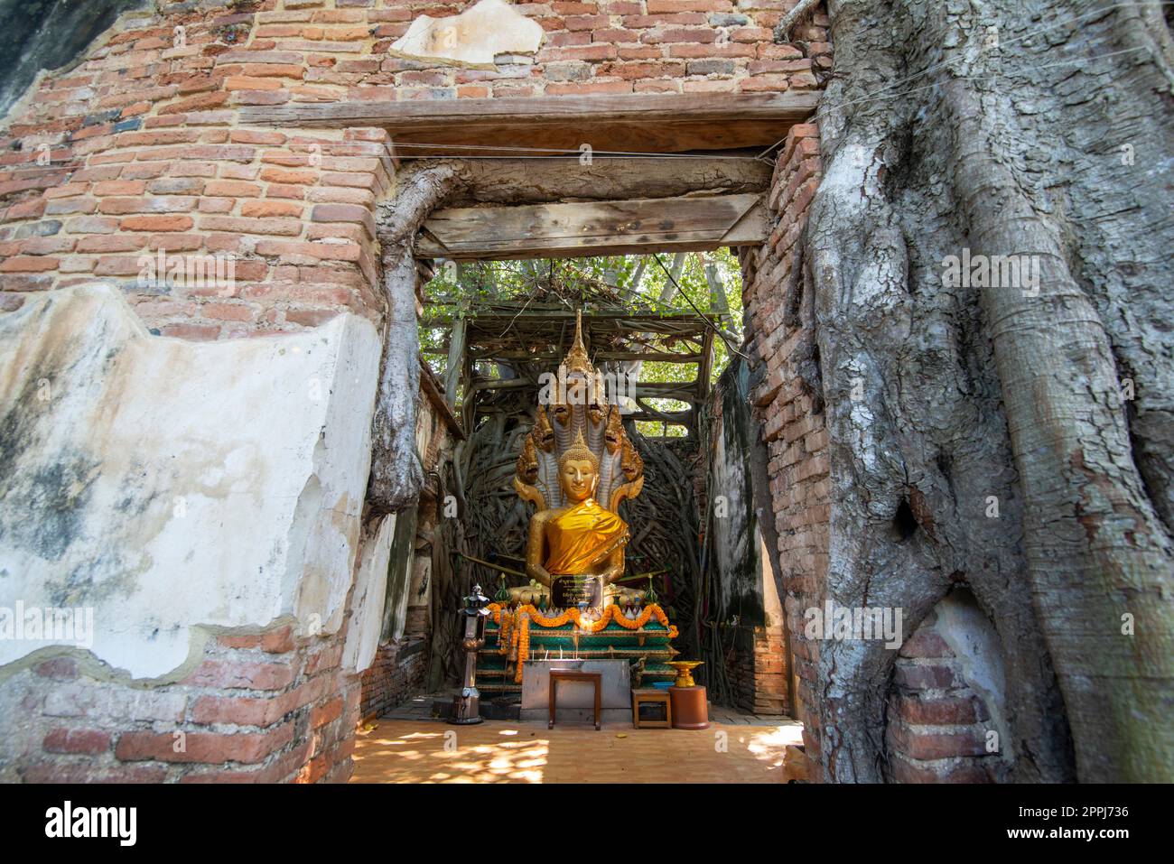 THAILAND ANG THONG WAT SANG KRATAI Stock Photo - Alamy