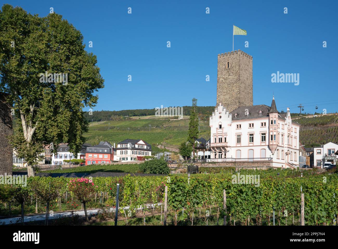 Ruedesheim at the Rhine river, Germany Stock Photo - Alamy