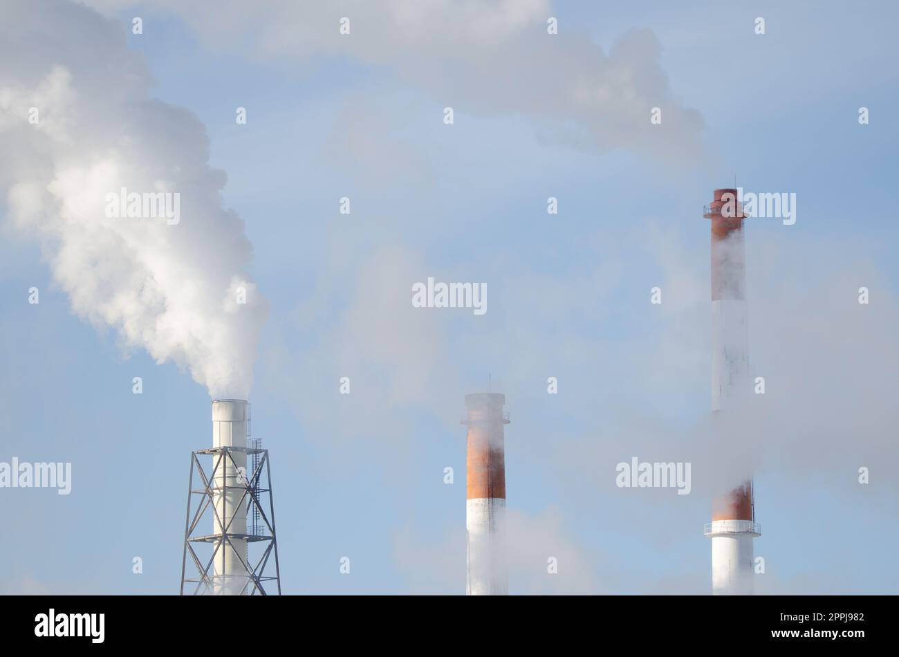 Chimneys of a pulp and paper industry. Stock Photo
