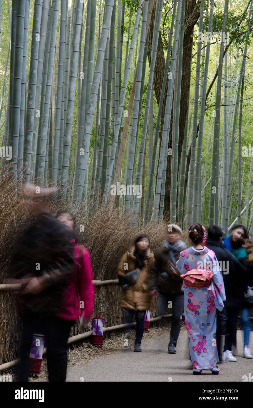 People walking next to the Bamboo Forest of Arashiyama. Stock Photo
