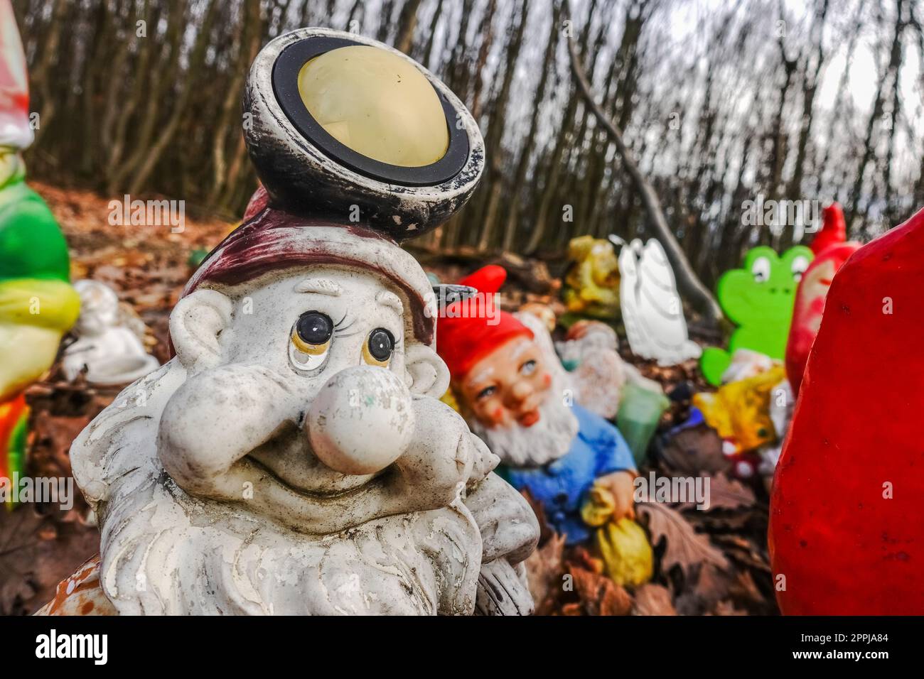 colorful garden gnomes with a headlamp at a place in the forest Stock Photo