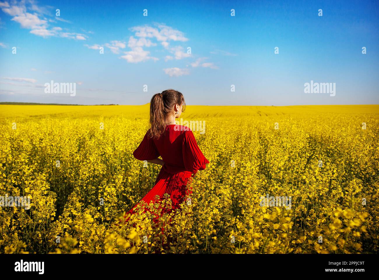 in a red dress beautiful girl standing in field Stock Photo - Alamy