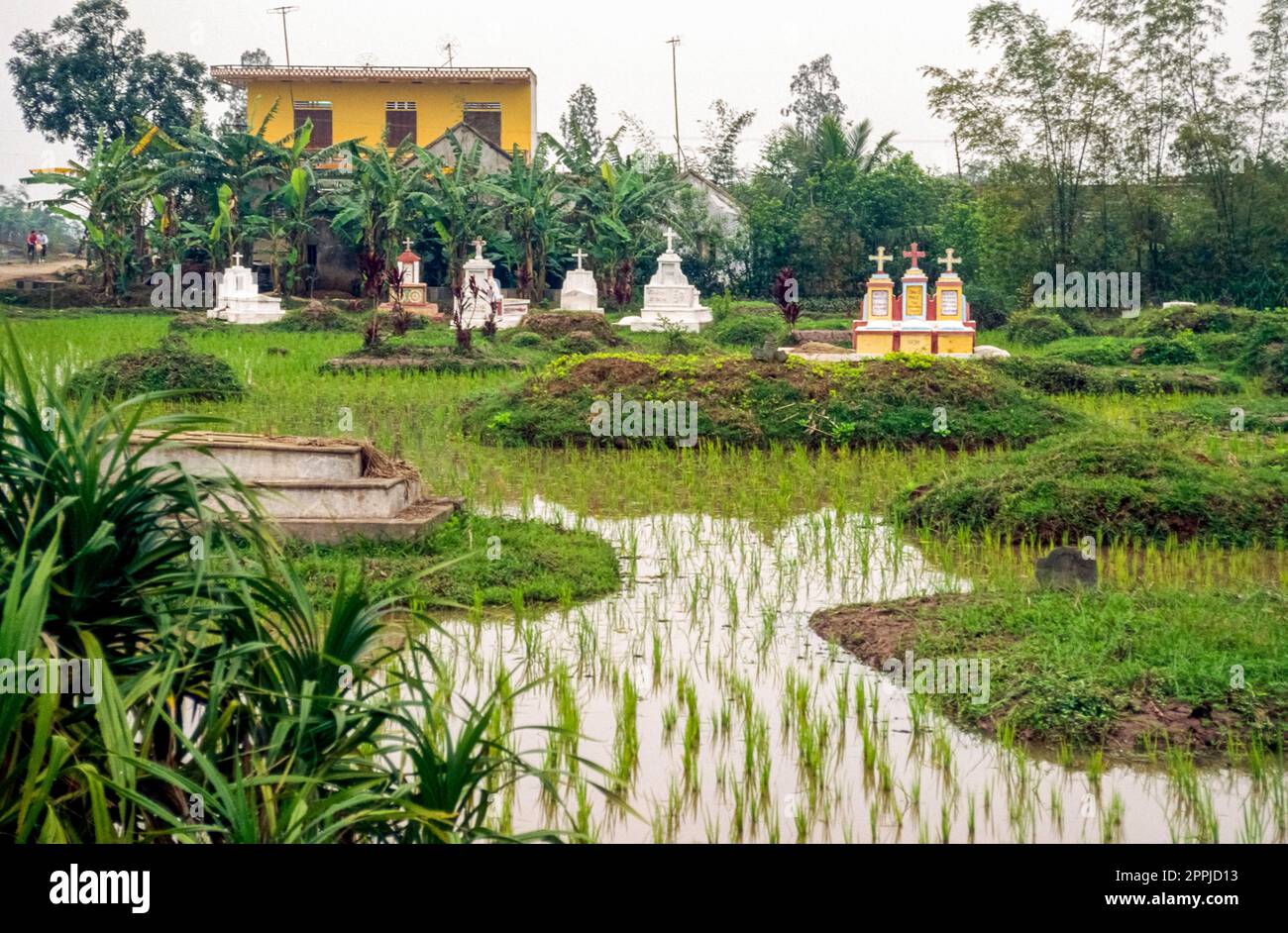 Scanned slide of a historical color photograph of a cemetery in the middle of a rice field in northern Vietnam Stock Photo