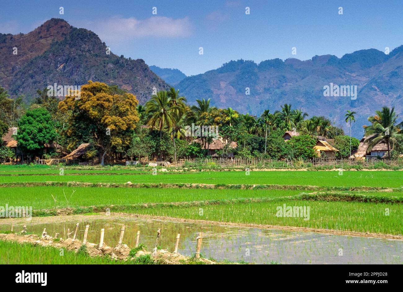 Scanned slide of historical color photograph of rice fields in Vietnam ...